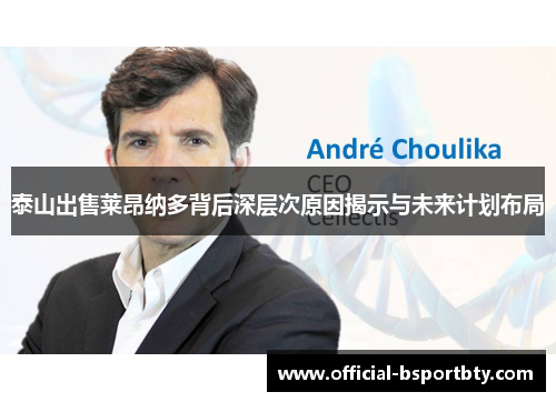 泰山出售莱昂纳多背后深层次原因揭示与未来计划布局