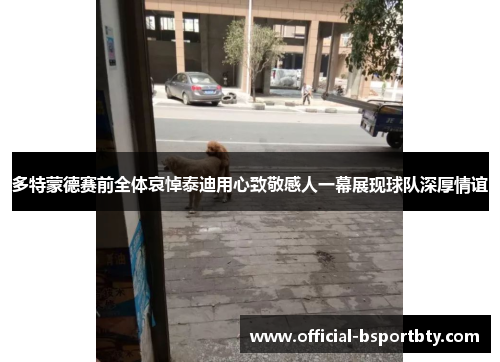 多特蒙德赛前全体哀悼泰迪用心致敬感人一幕展现球队深厚情谊